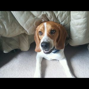 Meet your Posher, Lori